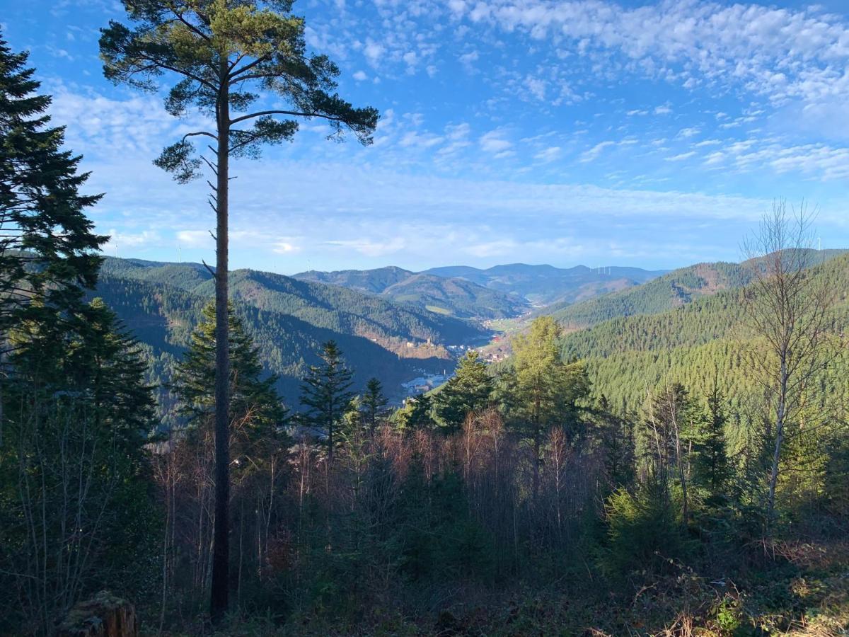 Ferienwohnung Zur Bierliebe - Mit Toller Aussicht Im Herzen Des Schwarzwaldes Хорнберг Экстерьер фото