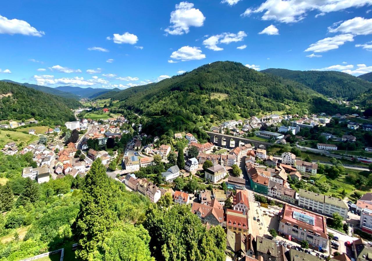 Ferienwohnung Zur Bierliebe - Mit Toller Aussicht Im Herzen Des Schwarzwaldes Хорнберг Экстерьер фото